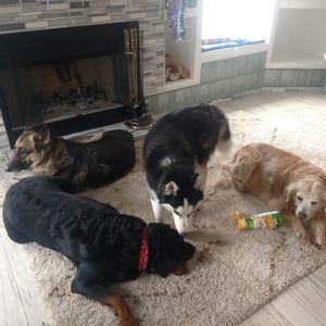 Meet your Posher, Mark